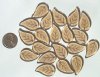 20 26x16mm Smoke Topaz Leaf Beads